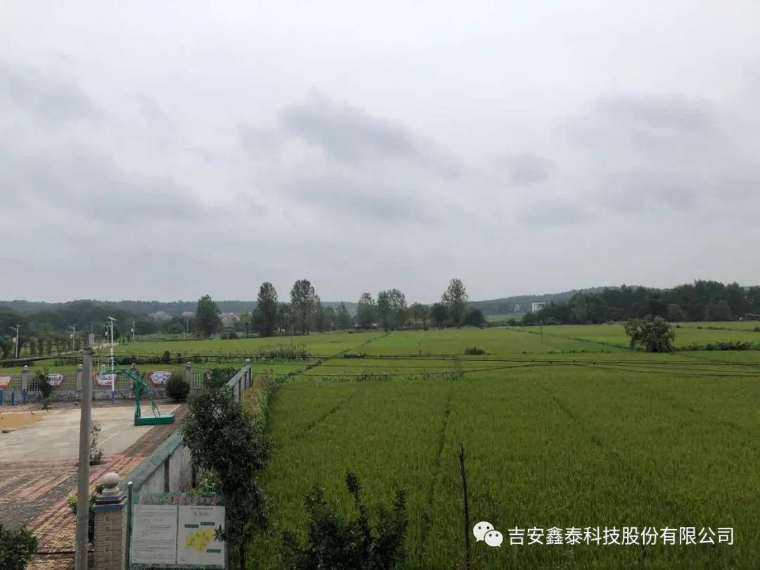 1659683411217647.jpg 640.jpg